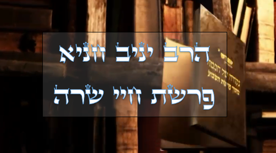 נקודה של חכמה חיי שרה.png